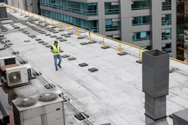 Best Metal Roofing Installation  in Crystal City, TX