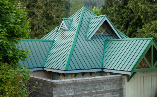Best Roof Moss and Algae Removal  in Crystal City, TX