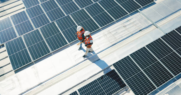 Best Roof Maintenance and Cleaning  in Crystal City, TX